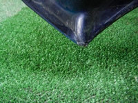 DSCN1323.JPG