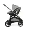 Коляска Inglesina Aptica 3 в 1 Platinum Grey Darwin i-Size