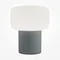 Интерьерная настольная лампа Omaggio MOD404TL-01GR Maytoni
