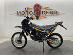 Roliz Asterix 150 2025