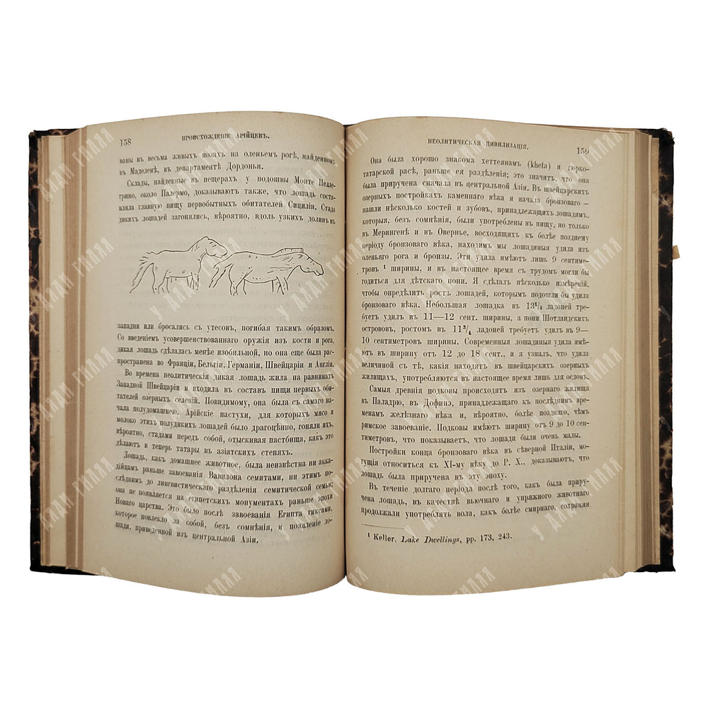 Тейлор И. Происхождение арийцев и доисторический человек, 1897.