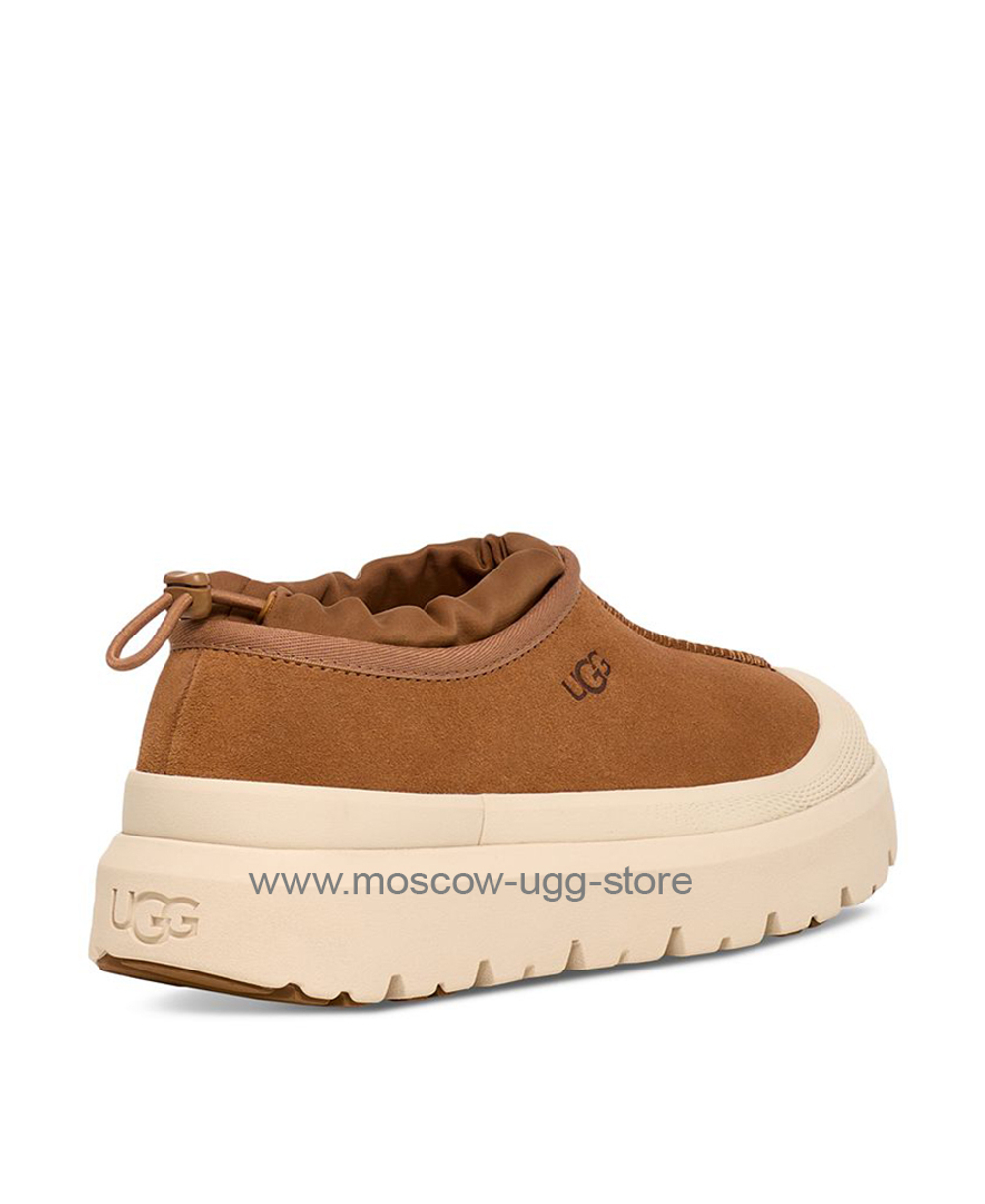 TASMAN WEATHER HYBRID SLIPPER-chestnut white