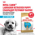 Royal Canin Labrador Retriever Puppy Лабрадор Ретривер Паппи Корм сухой для щенков породы Лабрадор Ретривер до 15 месяцев 12кг