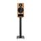 PMC Active twenty5 22i Oak