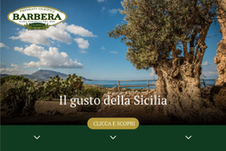 Оливковое масло BARBERA Extra Virgin D.O.P. Valle del Belice, TEMPIO dell’ULIVO , 750 мл Италия