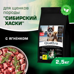 Корм сухой для щенков породы Сибирский хаски, премиум полнорационный комплекс, с ягненком, 2,5 кг, QUATTRO