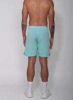 Мужские теннисные шорты RS Performance Shorts Ace Blue/Clay (211M301313/441)