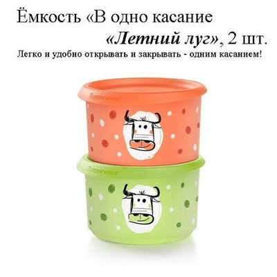 Набор контейнеров "В одно касание Летний луг" (575мл), 2шт.