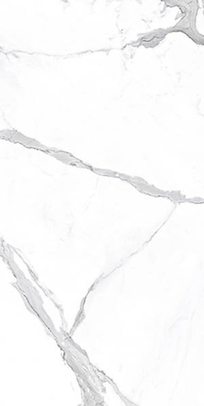 Керамогранит VIENMATCH ALTO STATUARIO L POLISHED