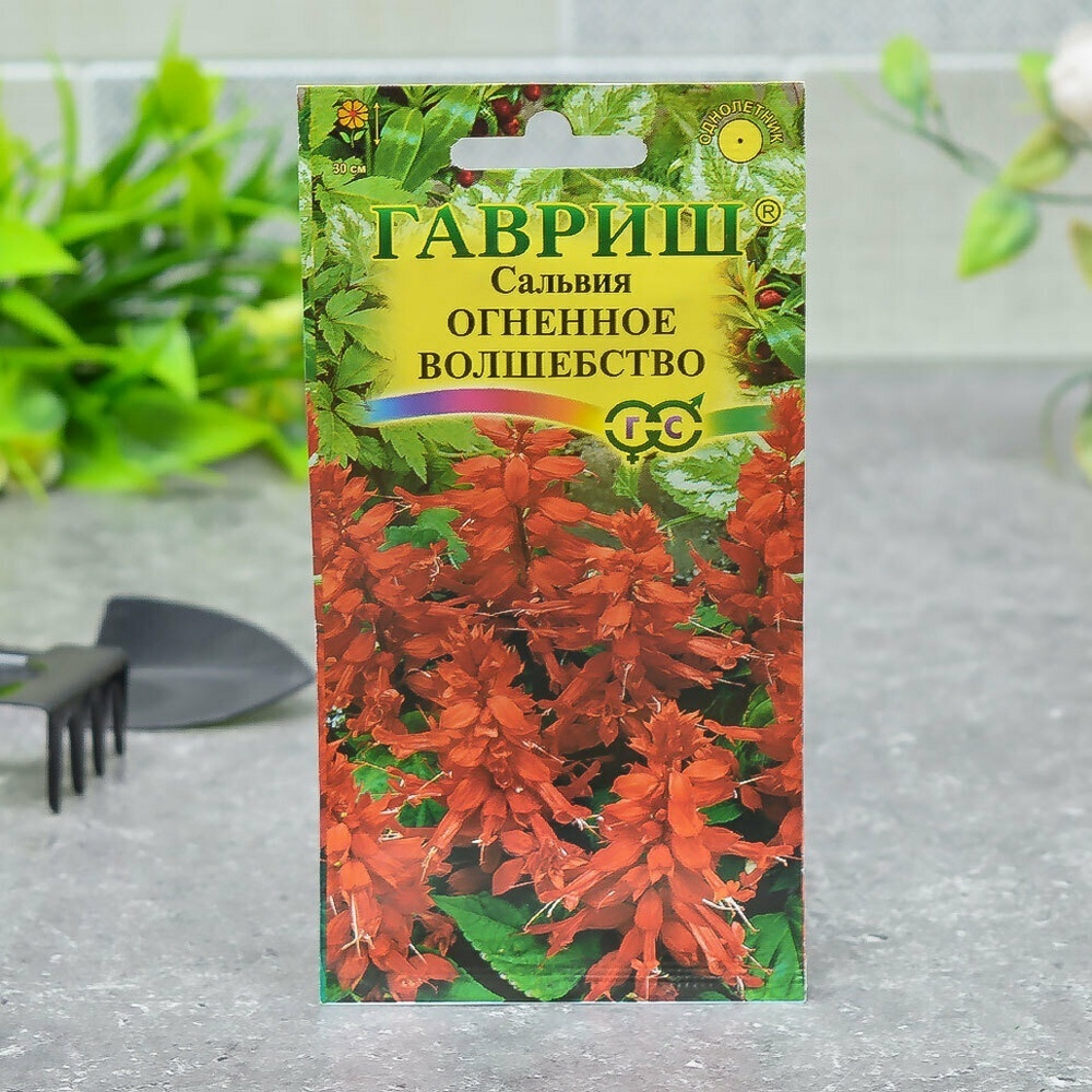САЛЬВИЯ Огненное волшебство Гавриш Ц (10шт)