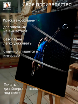 Картина "Эстетика волейбола", модульная 50х70см 1шт.
