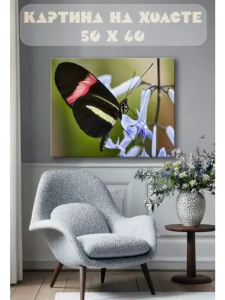 Картина на стену 40 X 50 Бабочка