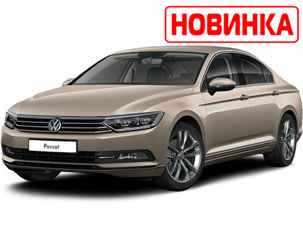 Автоковрики для VW Passat B8 (Сборка Россия)