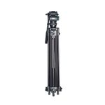 GreenBean HDV Elite 754