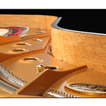 Shigeru Kawai SK-6L