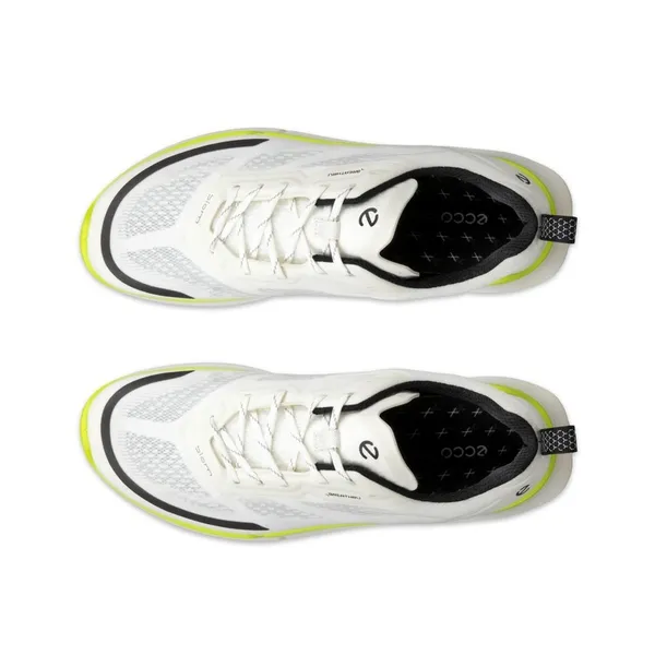 Кроссовки мужские ECCO BIOM 2.2 M