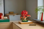 Конструктор LEGO Botanical Collection 10348 Бонсай из японского красного клена
