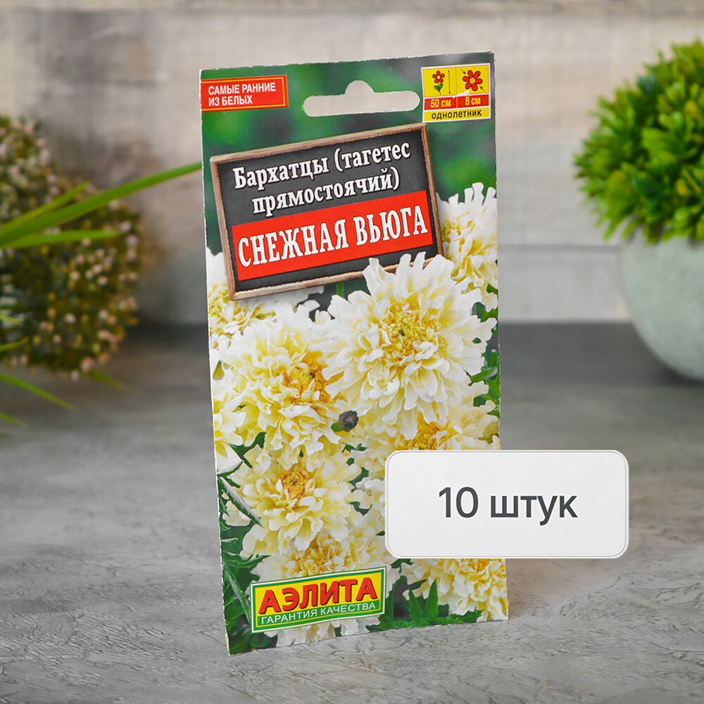 БАРХАТЦЫ Снежная вьюга Аэлита Ц (10шт)