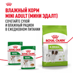 Royal Canin X-Small Adult Икс-Смол Эдалт Корм сухой для взрослых собак миниатюрных пород от 10 месяцев 3кг
