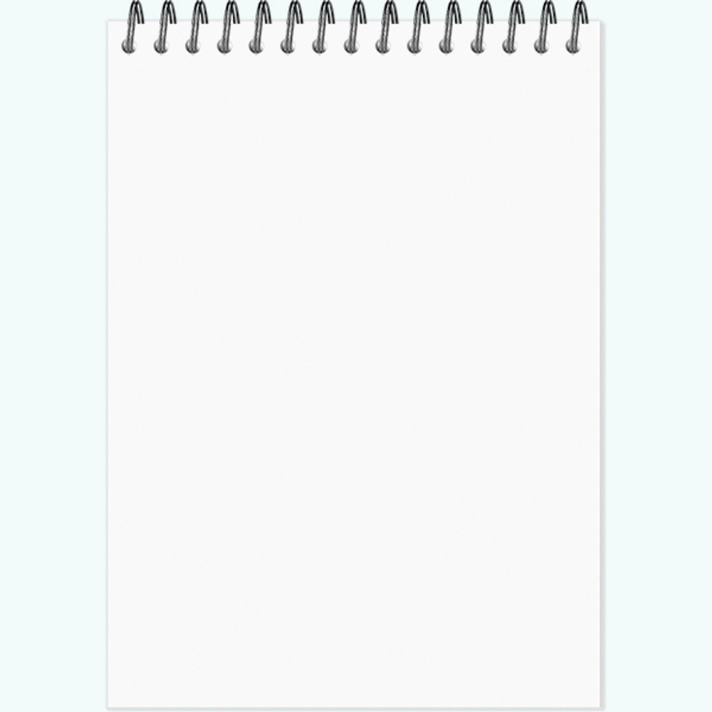 Блокнот-скетчбук SKETCHBOOK 100 формат А5 60 листов на металлическом гребне