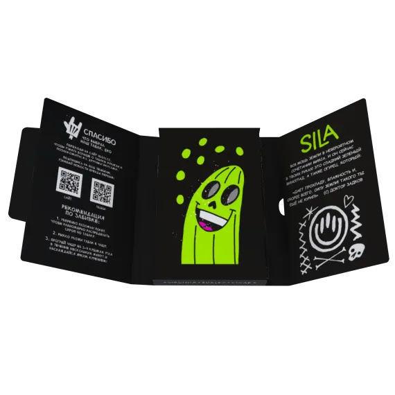 Хулиган - SILA