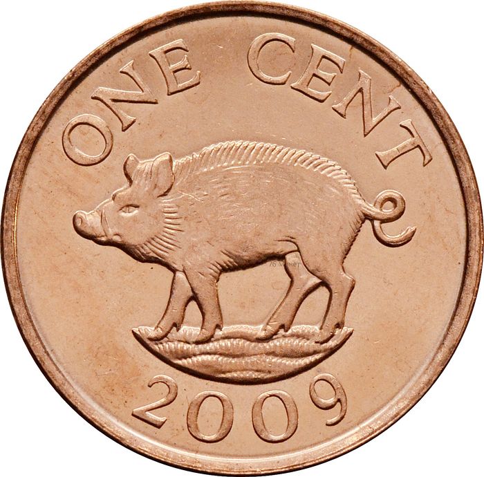 1 цент 2009 Бермуды. Дикий кабан