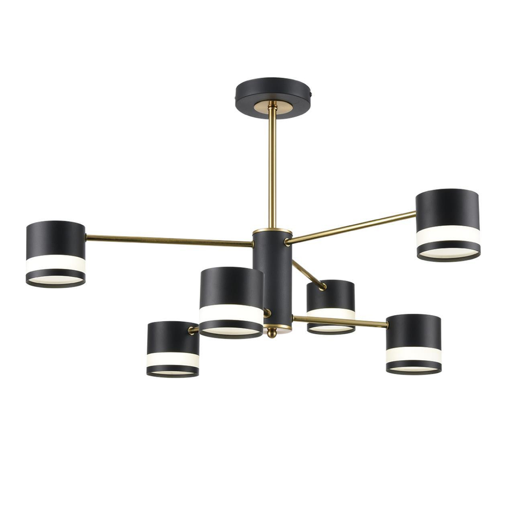 Потолочная люстра Lumion LANIKA 8240/6C