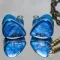 DUNU DN-142 Blue