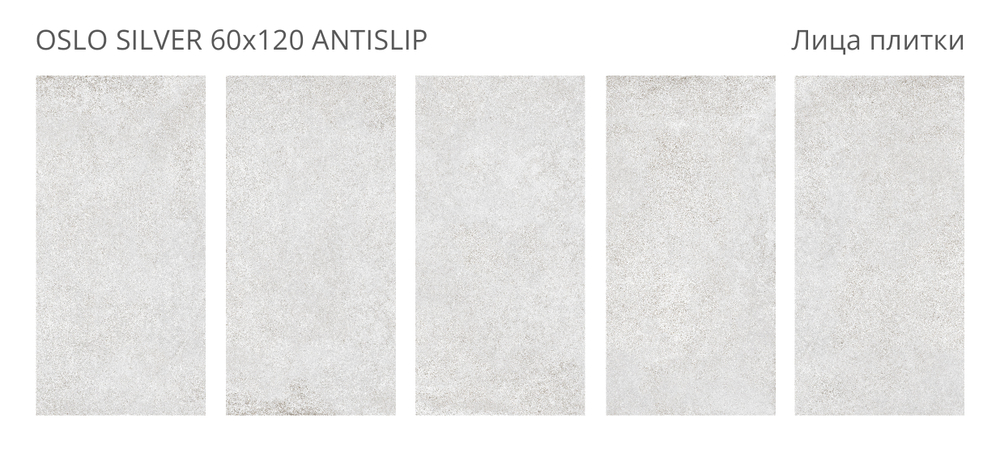 Staro Antislip OSLO SILVER 60x120