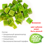 Love poison, кубики восковые для ароматизации, 10 штук
