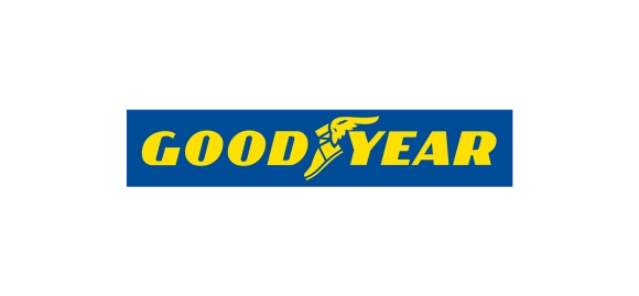 Летняя шина Goodyear Eagle F1 Asymmetric 6 (315/35 R20 110Y)