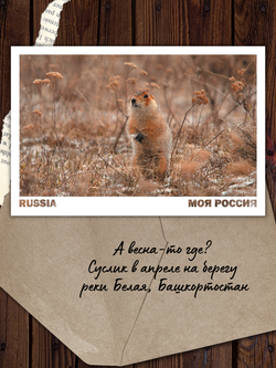 Моя Россия. Весна (выпуск №2, 2023)