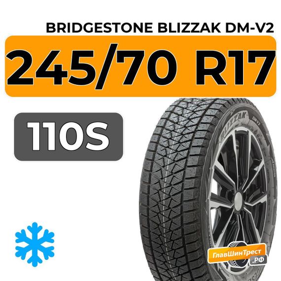 Bridgestone Blizzak DM-V2 245/70 R17 110S