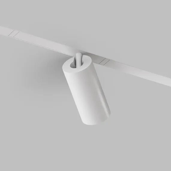 Трековый светильник SMART SPOT | СМАРТ СПОТ DK8020-WH Denkirs