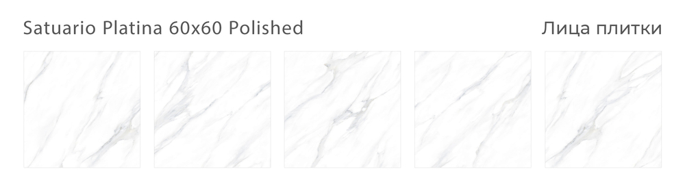 SATUARIO PLATINA 60x60 POLISHED