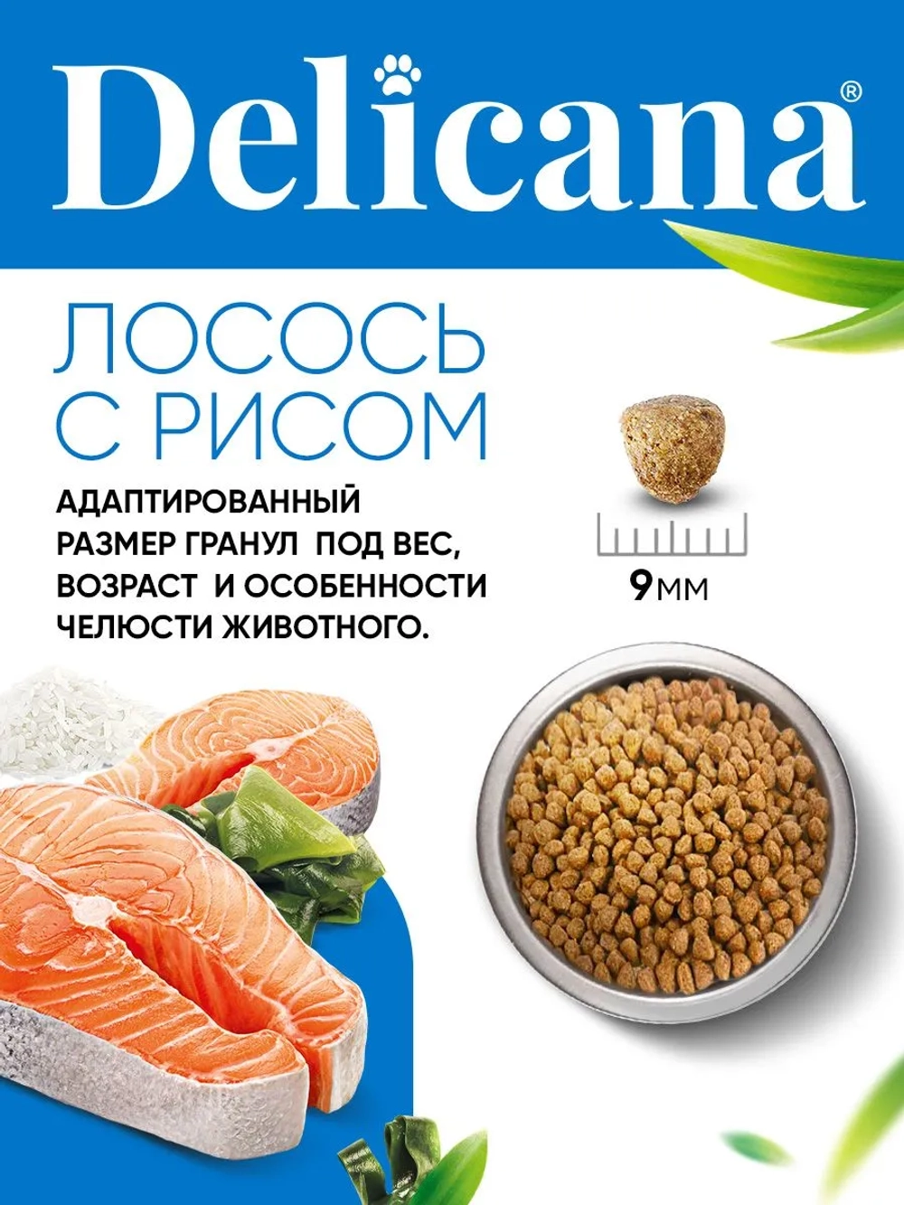 Delicana сухой полнорационный корм для взрослых собак мелких пород лосось и рис, 8кг