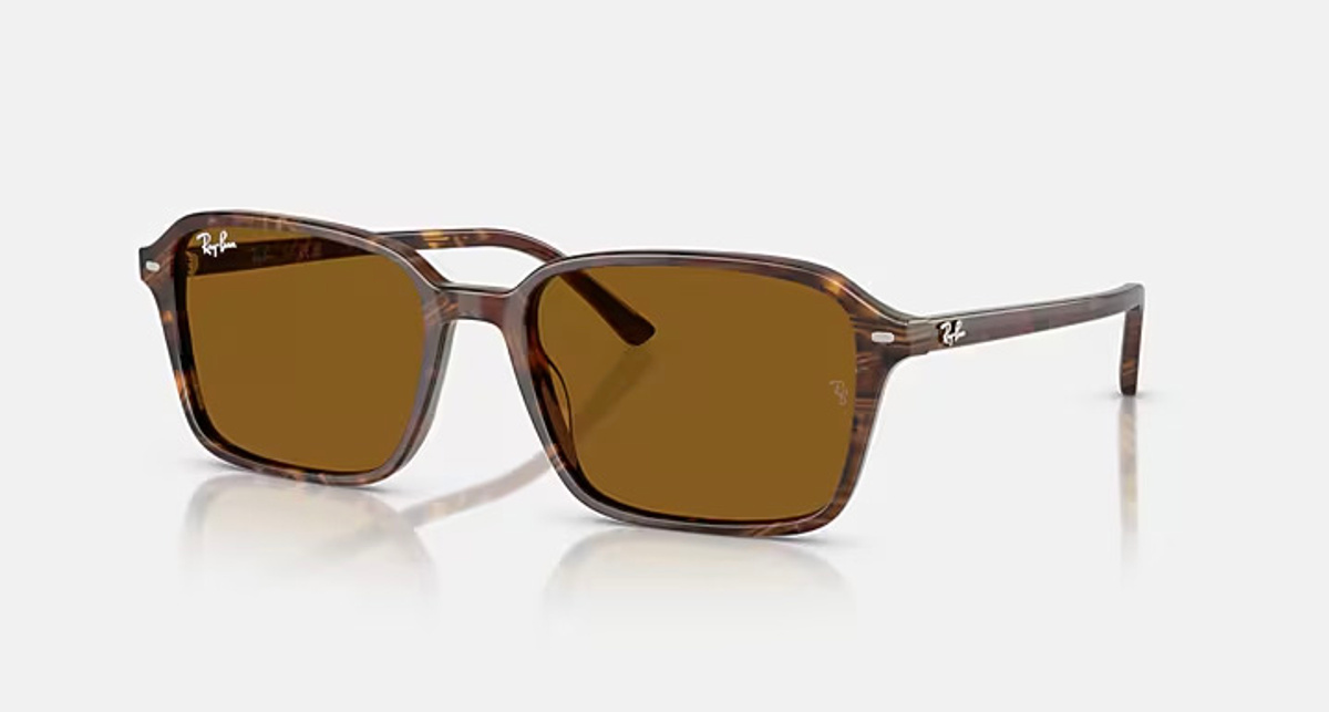RAY-BAN RAIMOND RB2231 141833
