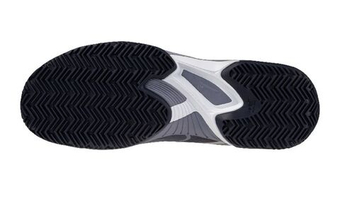 Мужские кроссовки теннисные Mizuno Wave Exceed Court CC - odyssey gray/white/blue granite