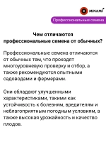 Петуния Парпл F1 Вельвет ампельная 15шт