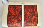 "The decorative painters and glaziers guide; containing the most approved methods of imitating oak, mahogany, maple, rose, cedar, coral, and every other kind of fancy wood". Whittock, N.. 1841г. - антикварная книга