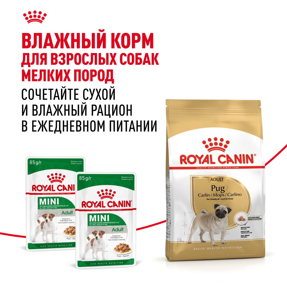 Royal Canin Pug Adult Мопс Эдалт Корм сухой для взрослых собак породы Мопс от 10 месяцев 7,5кг