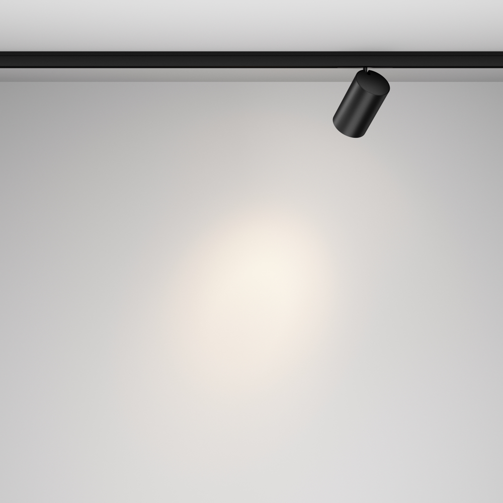Магнитный трековый светильник Maytoni Focus Led TR187-1-9W4K-M-B