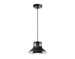 Подвесной светильник в стиле лофт TR8172 BK черный E27 max 40W D203*940