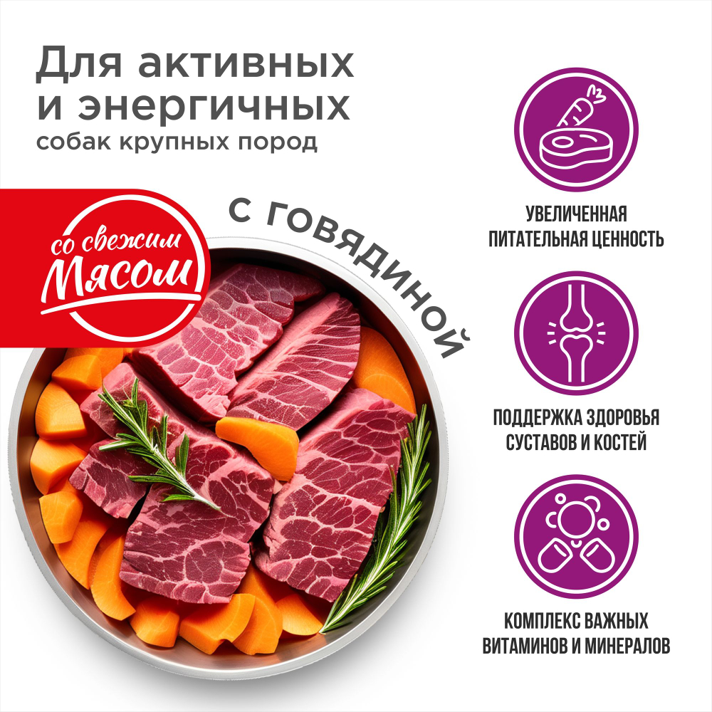 Корм сухой для взрослых собак крупных пород, премиум полнорационный комплекс, для активных и энергичных собак, с говядиной, 12 кг, QUATTRO