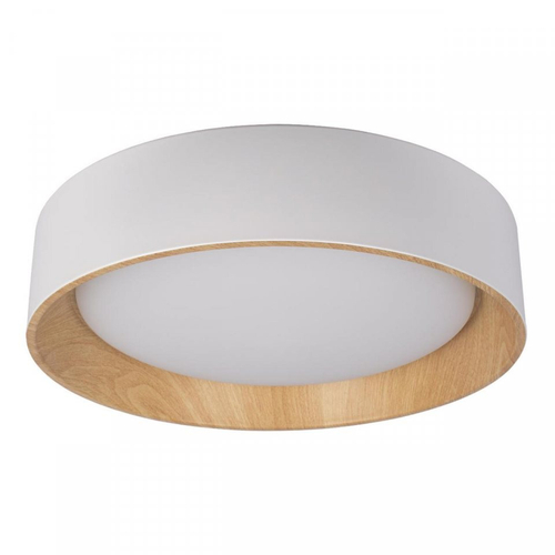 Потолочный светодиодный светильник Loft It Coin 10202 White