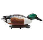 Широконос "FA-212530 LIVE NORTHERN SHOVELER SPOONBILL" FA 6 шт.