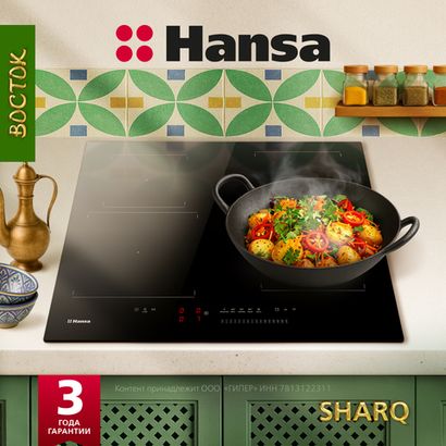 Индукционная панель Hansa BHI67606