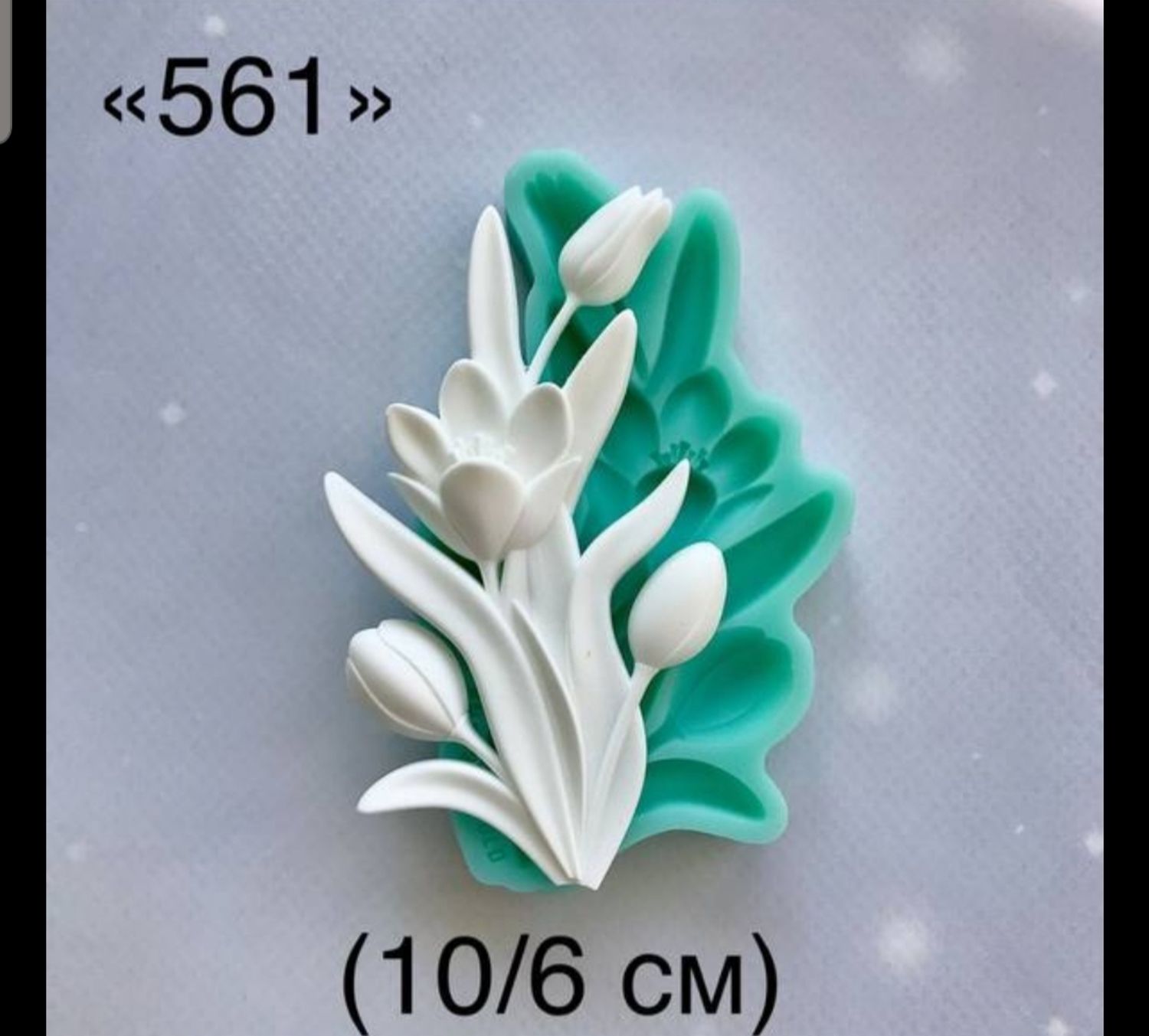 молд ТС №561 (10*6см)