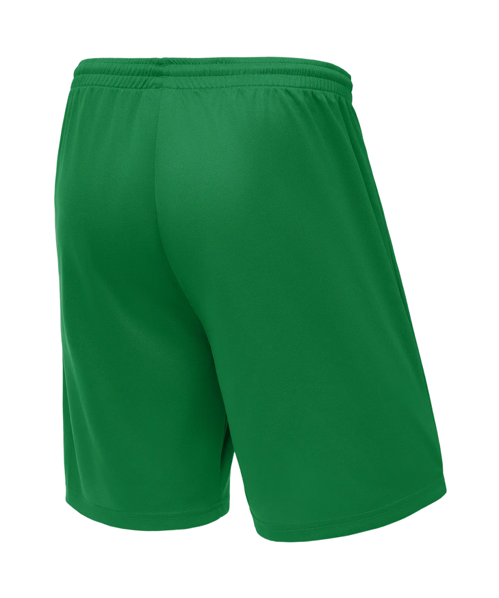 Шорты баскетбольные Camp Basic, зеленый, детский